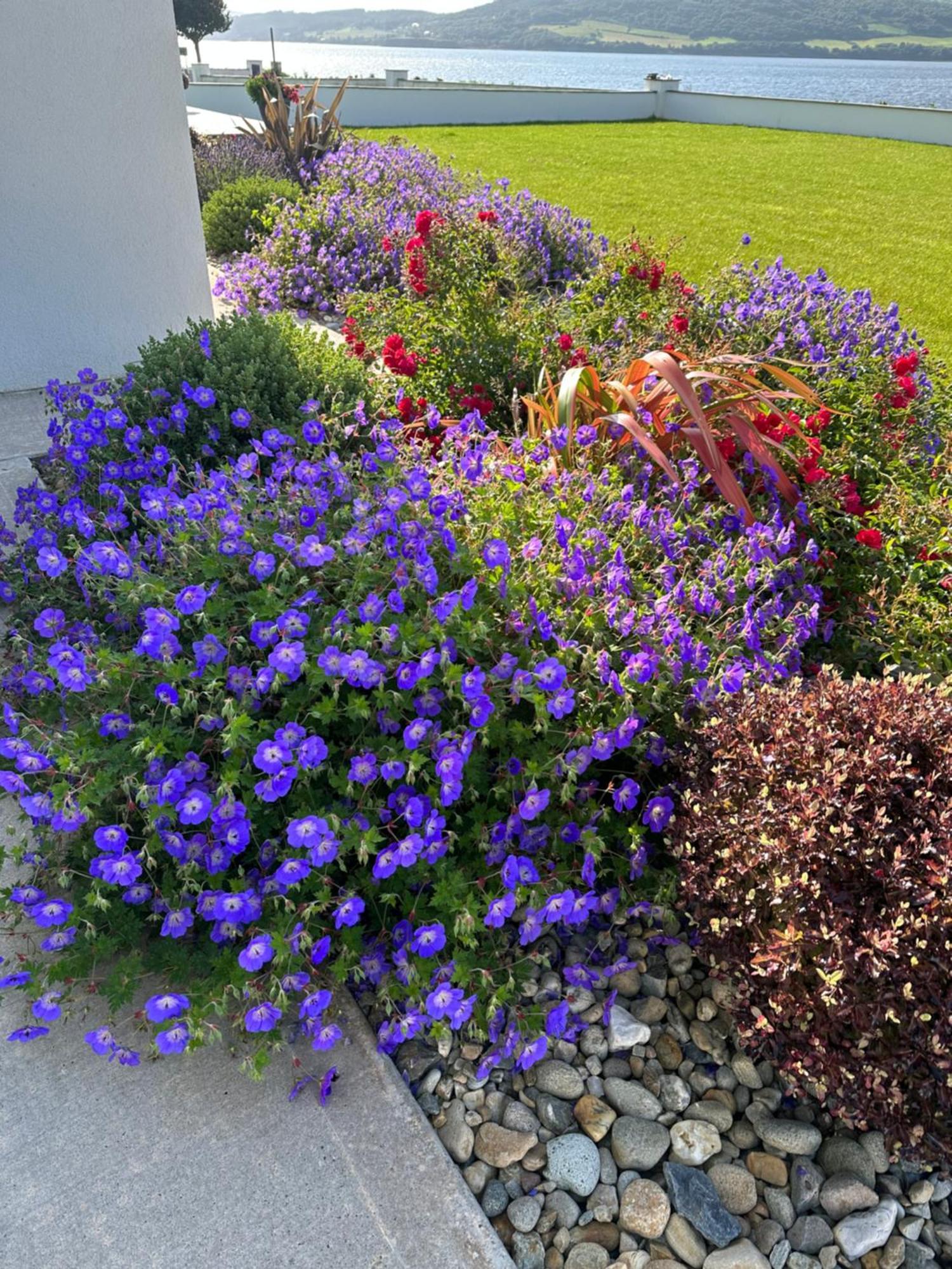 Sea Vista - Rathmullan Villa ภายนอก รูปภาพ