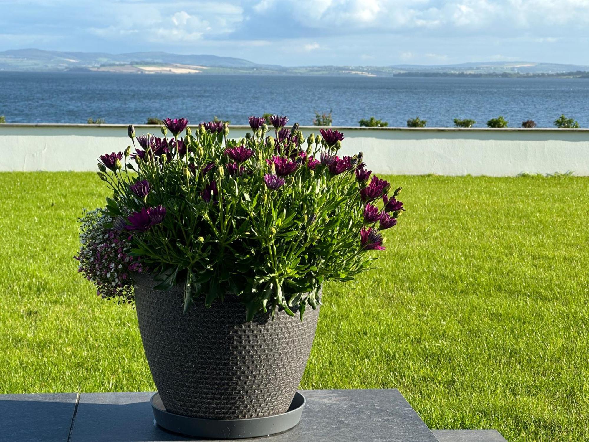 Sea Vista - Rathmullan Villa ภายนอก รูปภาพ