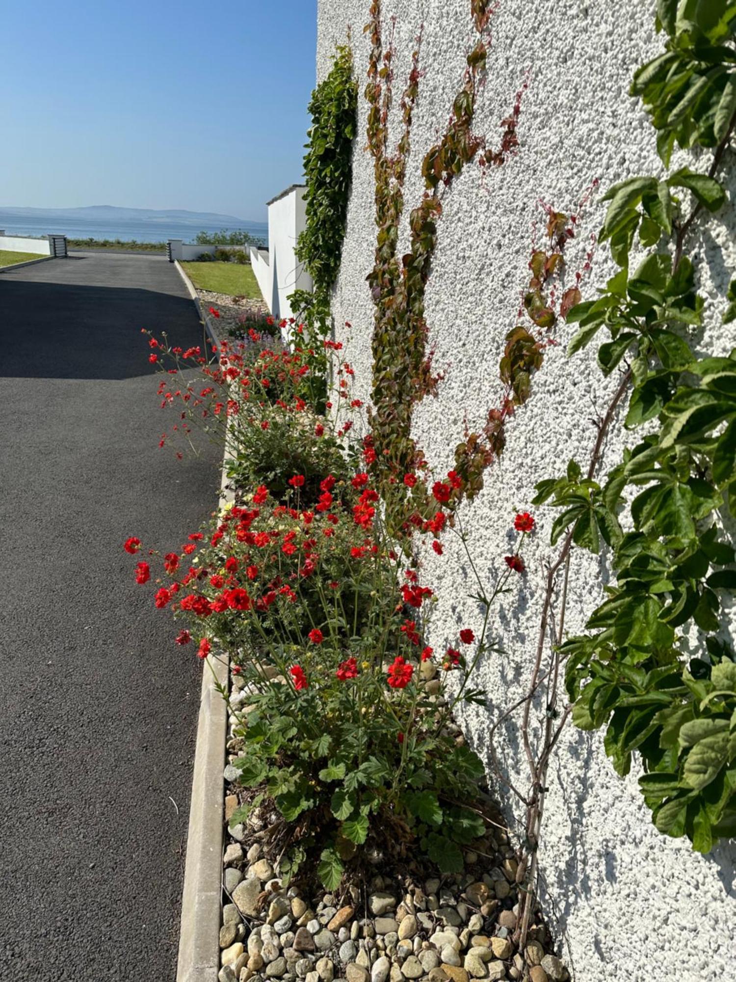 Sea Vista - Rathmullan Villa ภายนอก รูปภาพ